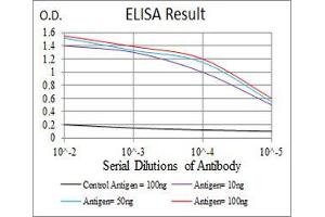 Black line: Control Antigen (100 ng), Purple line: Antigen(10 ng), Blue line: Antigen (50 ng), Red line: Antigen (100 ng), (ERCC1 antibody  (AA 151-297))