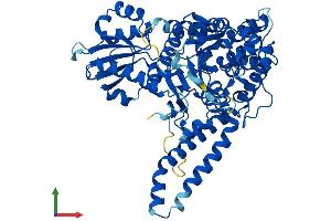 Protein Structure (PS) image for Vacuolar Protein Sorting 33 Homolog A (VPS33A) (AA 1-596) protein (His tag) (ABIN7556013)