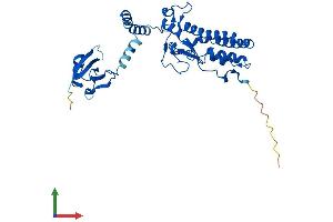AlphaFold protein structure predicition of Mouse Recombinant Dffb Protein, UniprotID O54788 (DFFB Protein (AA 1-344) (His tag))