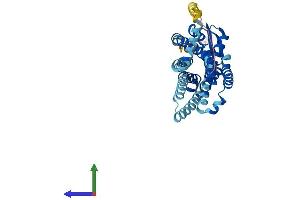 AlphaFold protein structure predicition of Mouse Recombinant Ccr1l1 Protein, UniprotID P51676 (CCR1L1 Protein (AA 1-356) (His tag))