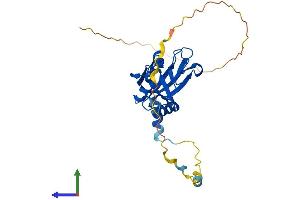 AlphaFold protein structure predicition of Human Recombinant CENPV Protein, UniprotID Q7Z7K6