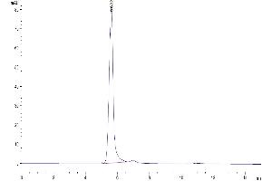 The purity of Mouse IFNAR1/IFN-alpha/beta R1 is greater than 95 % as determined by SEC-HPLC. (IFNA Protein (AA 27-429) (Fc Tag))