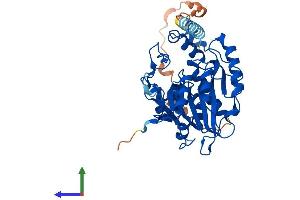 AlphaFold protein structure predicition of Human Recombinant B3GNT7 Protein, UniprotID Q8NFL0 (B3GNT7 Protein (AA 1-401) (His tag))