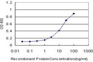 Detection limit for recombinant GST tagged CRKL is approximately 0. (CrkL antibody  (AA 204-303))