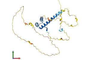 AlphaFold protein structure predicition of Mouse Recombinant Hmx2 Protein, UniprotID P43687 (HMX2 Protein (AA 1-273) (His tag))