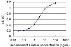 Detection limit for recombinant GST tagged PHF7 is 0. (PHF7 antibody  (AA 258-357))