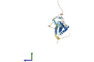 Protein Structure (PS) image for Pre-B-Cell Leukemia Homeobox Protein 1 (PBX1) (AA 1-430) protein (His tag) (ABIN7563236)