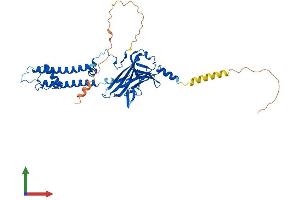 AlphaFold protein structure predicition of Mouse Recombinant Kcnj6 Protein, UniprotID P48542 (KCNJ6 Protein (AA 1-425) (His tag))