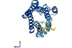 Protein Structure (PS) image for KDEL (Lys-Asp-Glu-Leu) Endoplasmic Reticulum Protein Retention Receptor 1 (KDELR1) (AA 1-212) protein (His tag) (ABIN7547393)