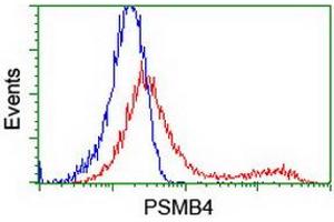 HEK293T cells transfected with either RC205723 overexpress plasmid (Red) or empty vector control plasmid (Blue) were immunostained by anti-PSMB4 antibody (ABIN2454987), and then analyzed by flow cytometry. (PSMB4 antibody)