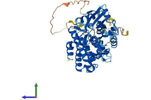 AlphaFold protein structure predicition of Mouse Recombinant Irak4 Protein, UniprotID Q8R4K2 (IRAK4 Protein (AA 1-459) (His tag))