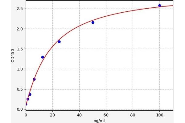 C4A ELISA Kit