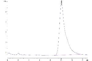 The purity of Mouse IL-17F is greater than 95 % as determined by SEC-HPLC. (IL17F Protein (AA 29-161) (His-Avi Tag))