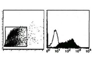 Flow Cytometry (FACS) image for anti-Milk Fat Globule-EGF Factor 8 Protein (MFGE8) antibody (ABIN1449192)