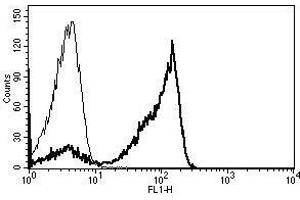 A typical staining pattern with the B-E2 monoclonal antibody of lymphocytes (CD2 antibody)