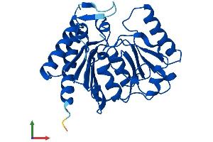 AlphaFold protein structure predicition of Mouse Recombinant Impa1 Protein, UniprotID O55023 (IMPA1 Protein (AA 1-277) (His tag))