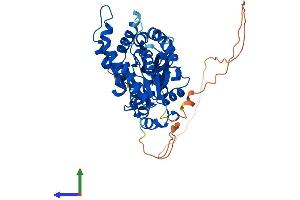AlphaFold protein structure predicition of Human Recombinant GTDC1 Protein, UniprotID Q4AE62 (GTDC1 Protein (AA 1-458) (His tag))