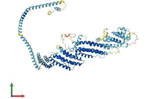 AlphaFold protein structure predicition of Mouse Recombinant Cog7 Protein, UniprotID Q3UM29 (COG7 Protein (AA 1-770) (His tag))