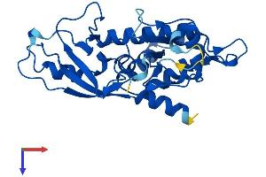 ATG5 Protein (AA 1-275) (His tag)