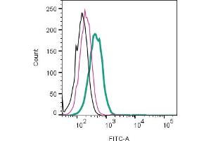 anti-GABA A Receptor delta (GABRD) (AA 19-35), (Extracellular), (N-Term) antibody (FITC)