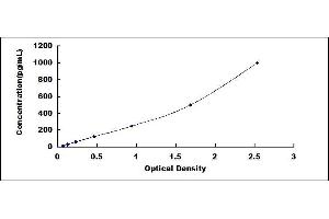 Typical standard curve (CCL8 ELISA Kit)