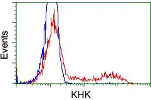 HEK293T cells transfected with either RC202424 overexpress plasmid (Red) or empty vector control plasmid (Blue) were immunostained by anti-KHK antibody (ABIN2453194), and then analyzed by flow cytometry. (Ketohexokinase antibody)