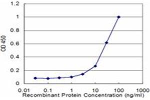 Detection limit for recombinant GST tagged GBA is approximately 3ng/ml as a capture antibody. (GBA antibody  (AA 146-235))