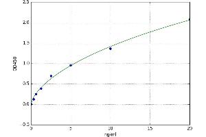 Sirtuin 3 (SIRT3) ELISA Kit