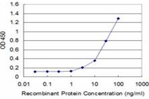 Detection limit for recombinant GST tagged SPARC is approximately 3ng/ml as a capture antibody. (SPARC antibody  (AA 1-303))