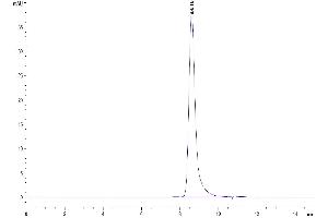 The purity of Mouse GP1BB is greater than 95 % as determined by SEC-HPLC. (GP1BB Protein (AA 27-147) (Fc Tag))