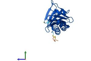 AlphaFold protein structure predicition of Mouse Recombinant Tbpl1 Protein, UniprotID P62340 (TBPL1 Protein (AA 1-186) (His tag))