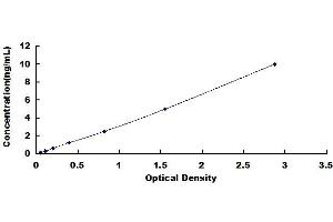 Cyclin D3 ELISA Kit