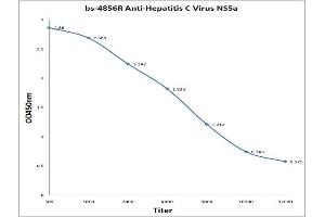 ELISA image for anti-Hepatitis C Virus NS5a (HCV NS5a) antibody (ABIN1385124)