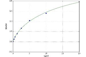 Syndecan Binding Protein (Syntenin) (SDCBP) ELISA Kit