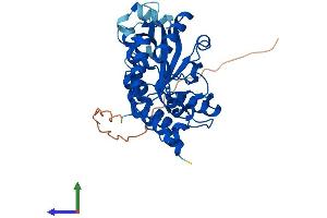 AlphaFold protein structure predicition of Mouse Recombinant Plcxd1 Protein, UniprotID Q8CHS4