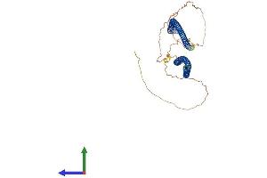 Protein Structure (PS) image for Syncoilin (Sync) (AA 1-482) protein (His tag) (ABIN7544174)