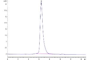 The purity of SARS-COV-2 Spike S1 NTD is greater than 95 % as determined by SEC-HPLC. (SARS-CoV-2 Spike S1 Protein (His-DYKDDDDK Tag))