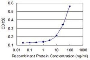 Detection limit for recombinant GST tagged RHPN2 is 3 ng/ml as a capture antibody. (RHPN2 antibody  (AA 1-686))