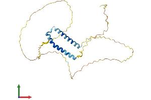 AlphaFold protein structure predicition of Human Recombinant FRG2 Protein, UniprotID Q64ET8 (FRG2 Protein (AA 1-278) (His tag))