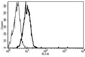 A typical staining pattern with the B-B48 monoclonal antibody of Eahy 926 cell line (TEK antibody)