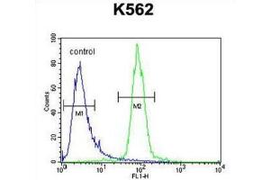 Flow Cytometry (FACS) image for anti-Ribulose-5-Phosphate-3-Epimerase-Like (RPEL1) antibody (ABIN2995143) (Ribulose-5-Phosphate-3-Epimerase-Like (RPEL1) antibody)