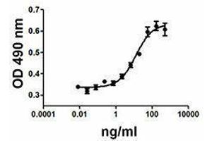 ELISA image for Insulin-Like Growth Factor 2 (IGF2) (AA 25-91) (Active) protein (ABIN2666937) (IGF2 Protein (AA 25-91))