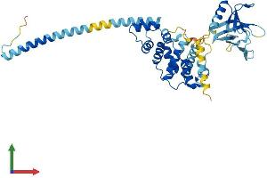AlphaFold protein structure predicition of Human Recombinant CYTH2 Protein, UniprotID Q99418 (Cytohesin 2 Protein (CYTH2) (AA 1-400) (His tag))