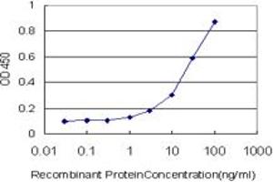Detection limit for recombinant GST tagged RUNX1 is approximately 1ng/ml as a capture antibody. (RUNX1 antibody  (AA 210-310))