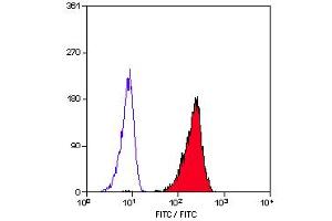 Staining of RAMOS cells with MOUSE ANTI HUMAN CD79a:FITC (ABIN118795). (CD79a antibody  (FITC))