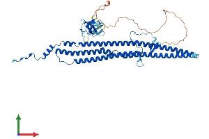 AlphaFold protein structure predicition of Human Recombinant GAS7 Protein, UniprotID O60861