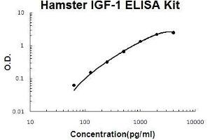 ELISA image for Insulin-Like Growth Factor 1 (IGF1) ELISA Kit (ABIN5510548)