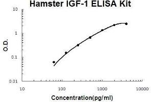 Hamster IGF-1 PicoKine ELISA Kit standard curve
