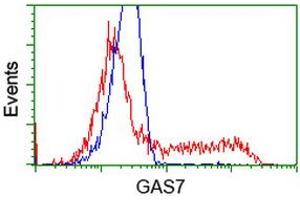 HEK293T cells transfected with either RC215256 overexpress plasmid (Red) or empty vector control plasmid (Blue) were immunostained by anti-GAS7 antibody (ABIN2453056), and then analyzed by flow cytometry. (GAS7 antibody)