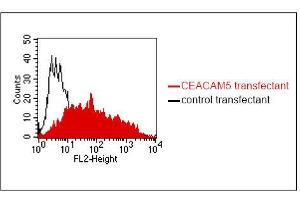 FACS analysis of BOSC23 cells using 4/3/17. (CEACAM1/5 antibody)